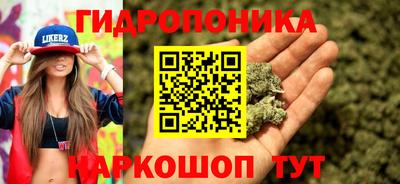 хмурый Абакан