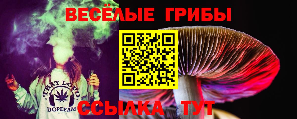Алейск  Галлюциногенные грибы прущие грибы  Вход с VPN 