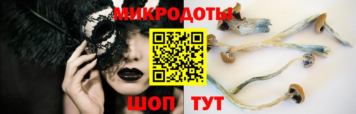 Псилоцибиновые грибы мухоморы Алейск